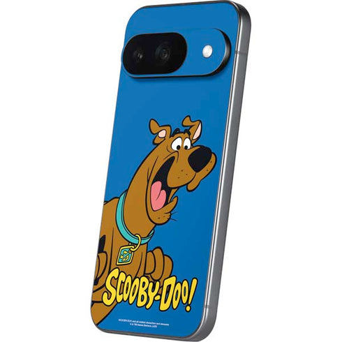 Scooby Doo Scooby-Doo Google Pixel 9 Skin